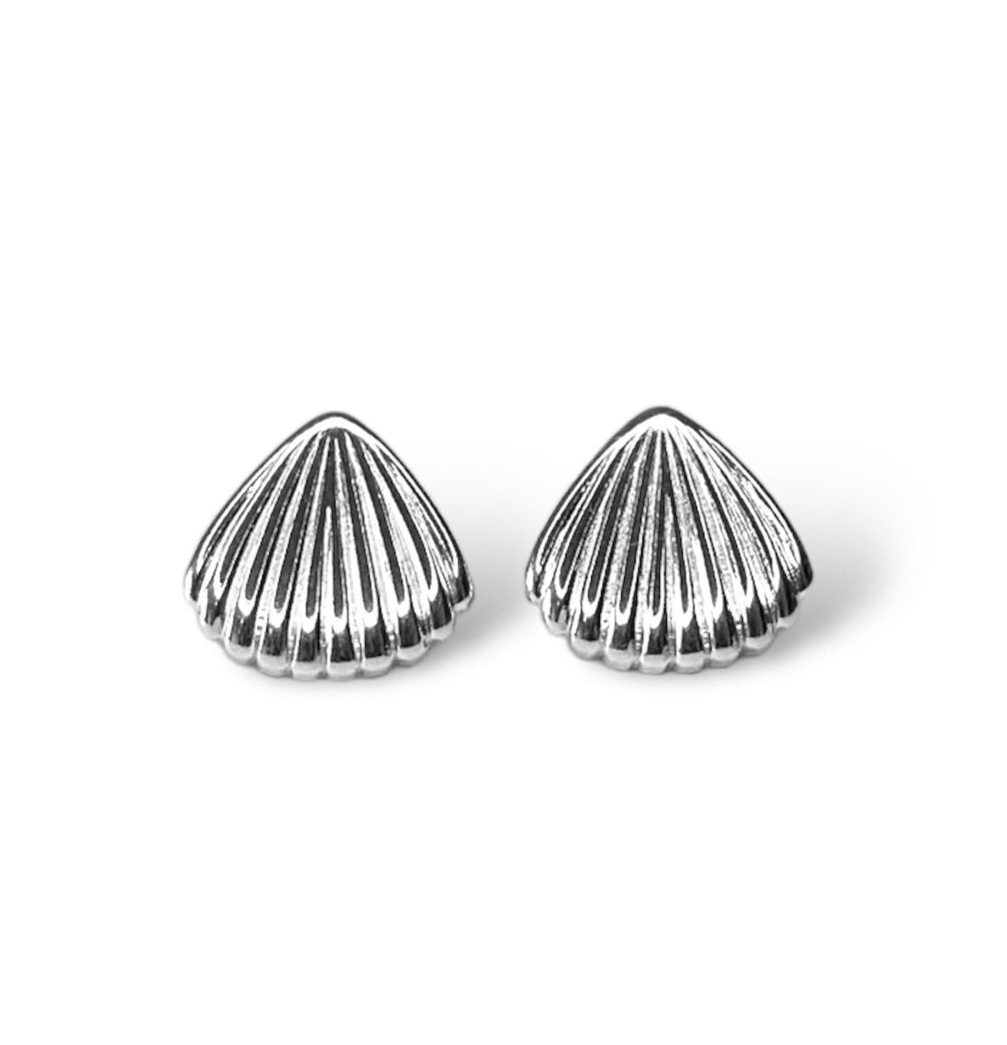 Sterling Silver Seashell Stud Earrings