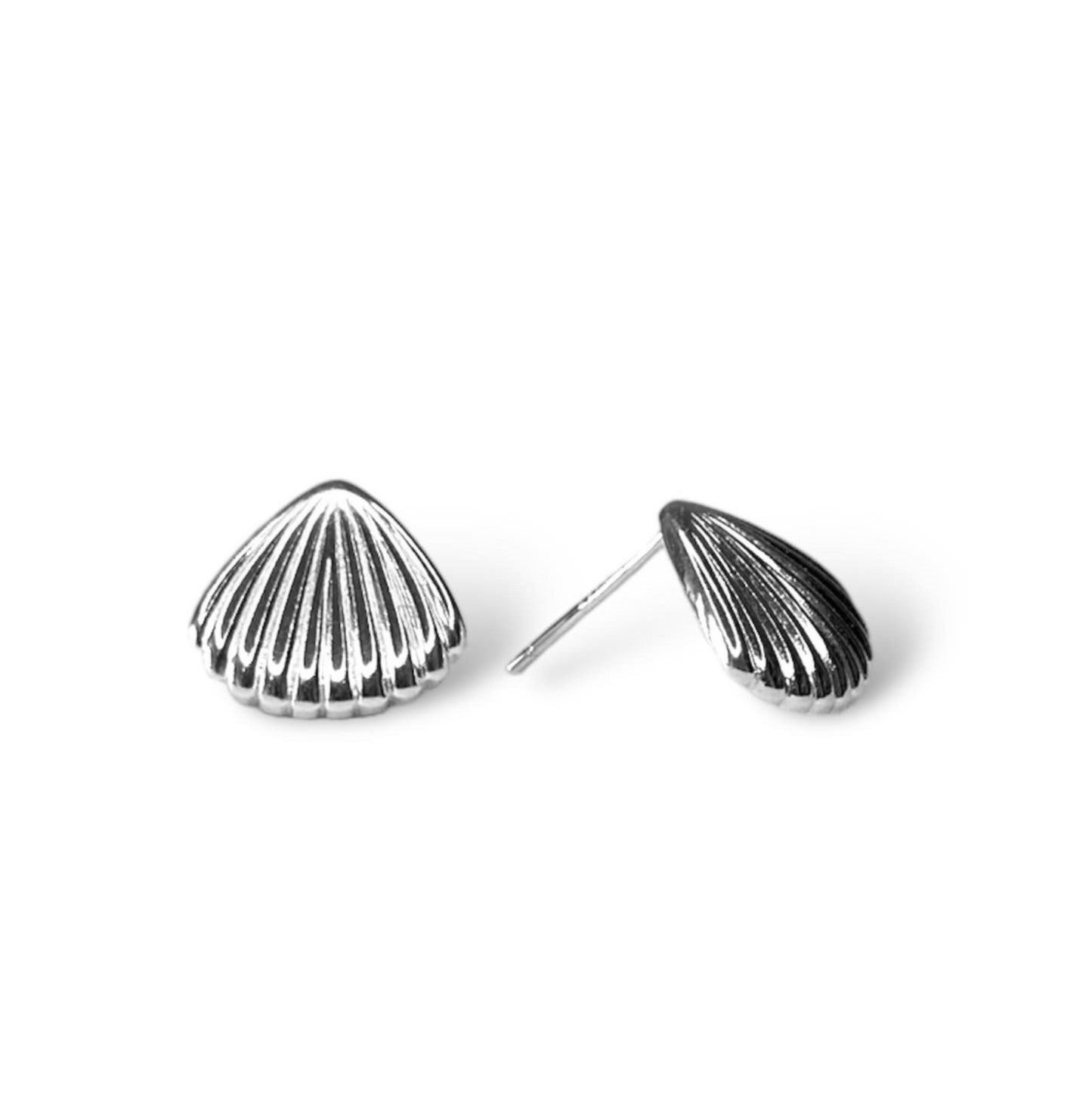 Sterling Silver Seashell Stud Earrings