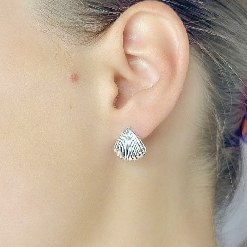 Sterling Silver Seashell Stud Earrings