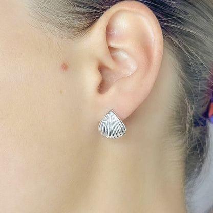 Sterling Silver Seashell Stud Earrings